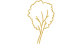 narbonne-gite.com