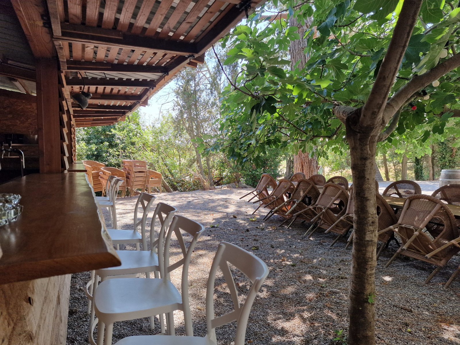 Bar extérieur avec espace repas ombragé sous les arbres dans un gîte de groupe à Narbonne