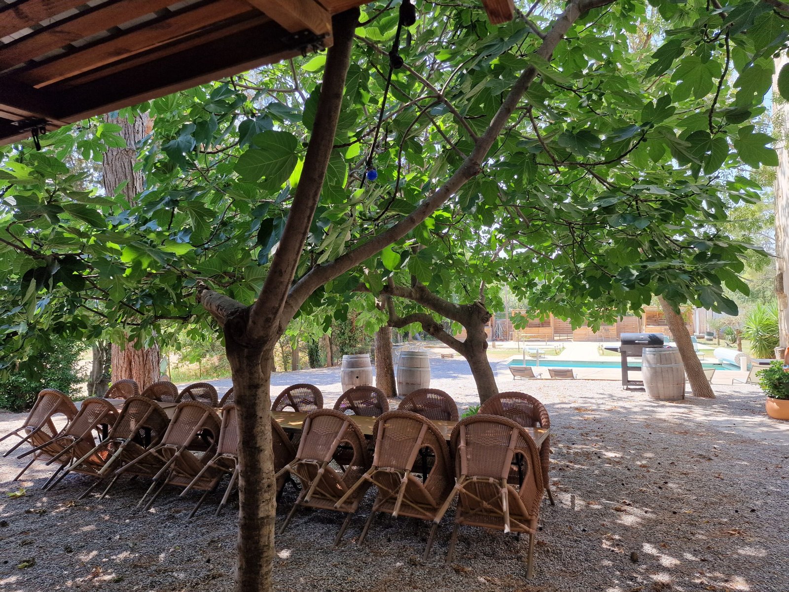 Grande table extérieure ombragée sous les arbres avec piscine en arrière-plan dans un gîte de groupe à Narbonne