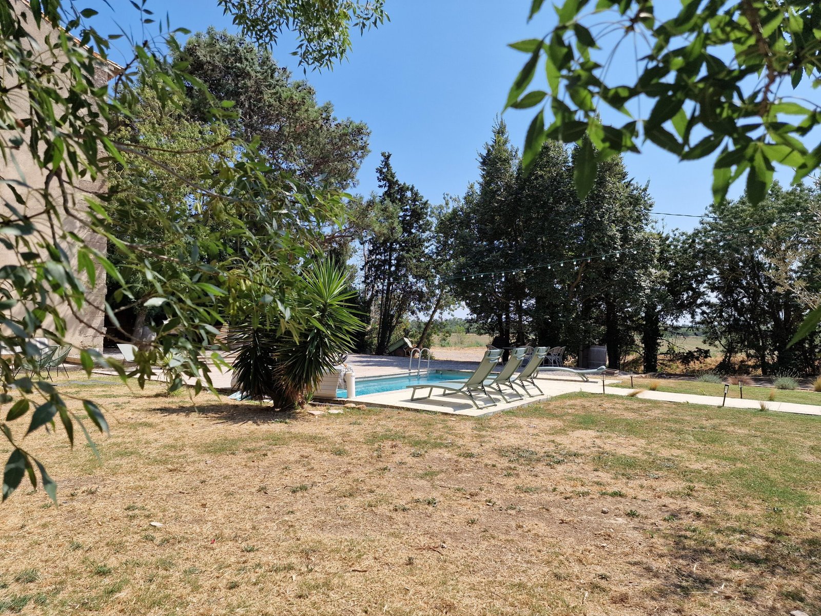 Piscine et transats entourés de végétation pour un séjour en groupe à Narbonne